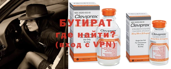 шишки Вяземский