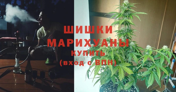 сатива Вязьма