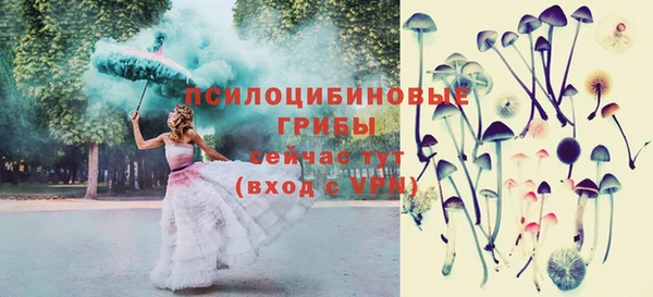 эйфоретик Алексеевка