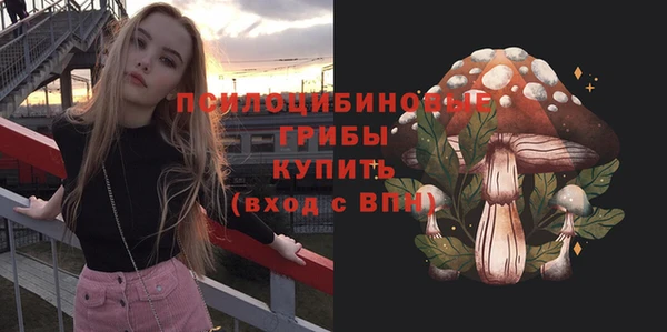 эйфоретик Алексеевка