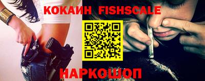 стафф Камышлов
