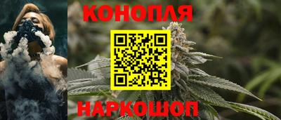 стафф Камышлов