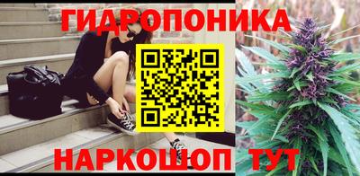 стафф Камышлов