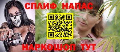 стафф Камышлов