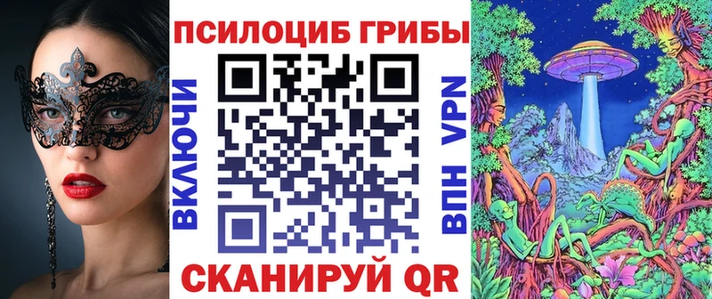 купить цена Первоуральск Псилоцибиновые грибы Psilocybe