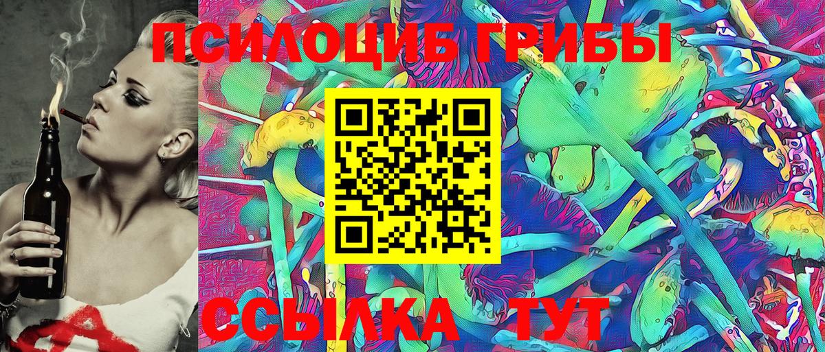 Первоуральск  Галлюциногенные грибы Cubensis  Вход с VPN 